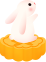 񡿵¥ӭѽڣĩԸŶ